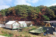 별빛뜰애 - 캠프위크