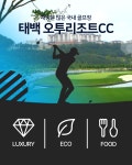 골마켓 오투cc
