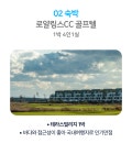 골마켓 태안 로얄링스CC