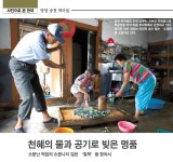 정책주간지 공감 <제49호>양양 송천 떡마을