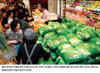 정책주간지 공감 중국산 신선배추 1백톤·무 50톤 긴급 수입