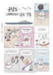 카툰공감 243호