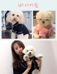 [PETLEAD]펫리드 부티크 파자마 잠옷 반려동물잠옷 반려동물산책용품... [PETLEAD]펫리드 부티크 파자마 잠옷 반려동물잠옷 반려동물산책용품... 