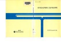 한국청소년개발원 중장기발전계획