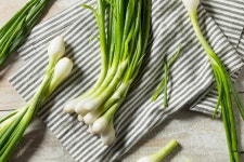 파 효능 - 대파, 실파, 쪽파, 양파 : 그라디움