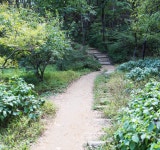 산림휴양 > 산림욕장 > 대공원 둘레길 > 산림욕장길 (7km/2시간 30분) | 서울대공원 서울대공원