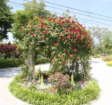 식물원ㆍ정원 > 테마가든 둘러보기 > 테마가든 나들이 | 서울대공원 서울대공원