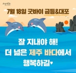 대공원 다多이슈 > 오늘의 대공원 > 새소식 > 금등이와 대포, 18일 고향 제주바다의 품으로 방류되었습니다. | 서울대공원 서울대공원