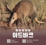 대공원 다多이슈 > 오늘의 대공원 > 새소식 > 9월의 동물 아드바크를 만나보세요! | 서울대공원 서울대공원