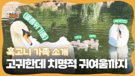 대공원 다多이슈 > 온라인 대공원 > 서울대공원 TV | 서울대공원 서울대공원
