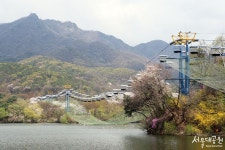 대공원 다多이슈 > 온라인 대공원 > 대공원 앨범 > 스카이리프트를 타고 본 호수정 | 서울대공원 서울대공원