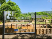 신청ㆍ참여 > 참여하기 > 동행기금 > 2024 린데코리아 | 서울대공원 서울대공원