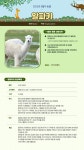 동물원 > 동물원 둘러보기 > 이달의 동물 > 2023년 9월의 동물 알파카 | 서울대공원 서울대공원