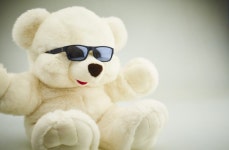 Free Stock Photos of Amusing Animals - Gratisography