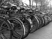 매일 토익 LC 풀기 & 무료 해설강의 :: 해커스영어