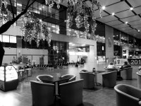 매일 토익 LC 풀기 & 무료 해설강의 :: 해커스영어