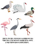 시사방 - 거대익룡의 비행
