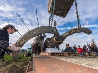 게시판 - 곰굴 출석부