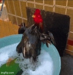 게시판 - 만남의광장 출석부