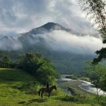 게시판 - 구름 속의 산책 출석부