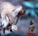 게시판 - 호수위의집 출석부