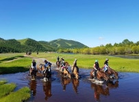 게시판 - 낭만자객 냥이 출석부
