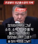 게시판 - 쥐와 벌 그리고 돼지