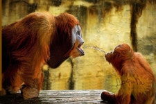 게시판 - 전망좋은 화장실 출석부