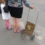 게시판 - 가보오 출석부