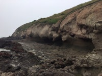 게시판 - 삼위일체 출석부