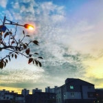 게시판 - 단풍잎 출석부