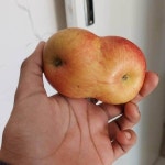 게시판 - 일박이일 출석부