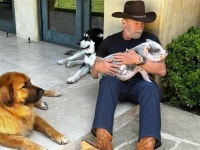 게시판 - 퀸크랩 출석부