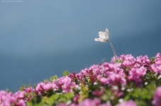 게시판 - 육이구 출석부