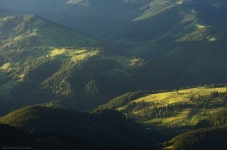 게시판 - 육이구 출석부