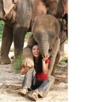 게시판 - 육이구 출석부