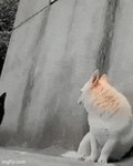 게시판 - 풍경속 풍경 출석부