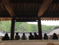 게시판 - 마노 풍경 출석부