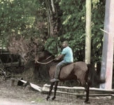 게시판 - 뒹굴댕굴 출석부