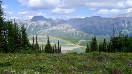 게시판 - 무지개 출석부