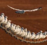 게시판 - 육이구 출석부
