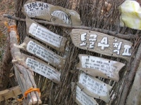 도보여행3 - 보현정사