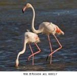 글읽기 - 근대인의 사유