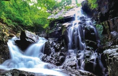 백운산의 사계 | 백운산은? | 백운산생태 : 백운산자연휴양림