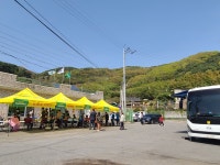 ‘찾아가는 전남행복버스’ 진월면 차동마을 방문 | 보도자료 | 뉴스/소식 : 감동시대 따뜻한광양 광양시 대표 누리집입니다.