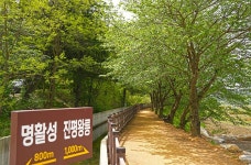 상상 황리단길- 상상(商想) 황리단길