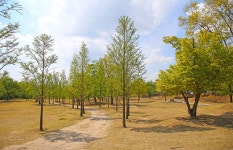 상상 황리단길- 상상(商想) 황리단길