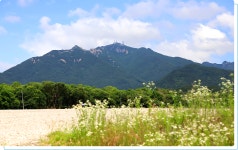 계룡산소개 > 계룡산 이야기 > 역사/문화 > 문화관광 문화관광