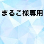 最新作大人気 まるこ様専用の通販 まるまるs shop｜ラクマ by 通販新作