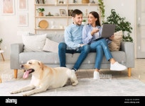 Page 2 - Lifestyle Home Family Dog Laptop High Resolution Stock Photography and Images - Alamy
